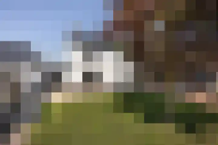Vijverstraat 63 St. Willebrord thumbnail 42
