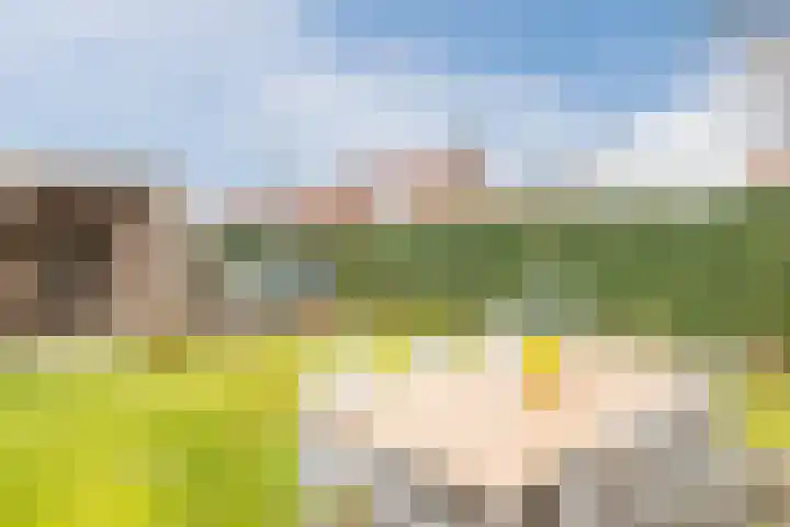 Vijverstraat 8 Culemborg thumbnail 33