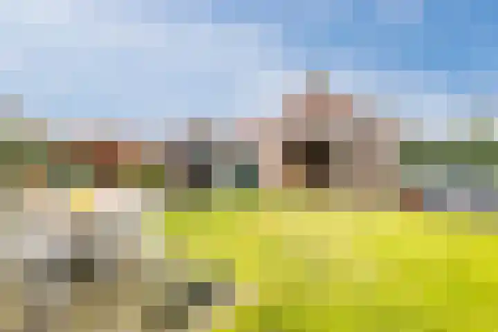 Vijverstraat 8 Culemborg thumbnail 34