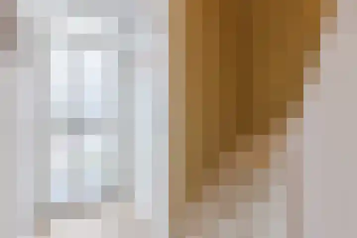 Vijverstraat 8 Culemborg thumbnail 6