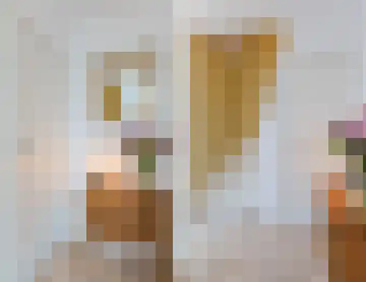 Vijverstraat 8 Culemborg thumbnail 7