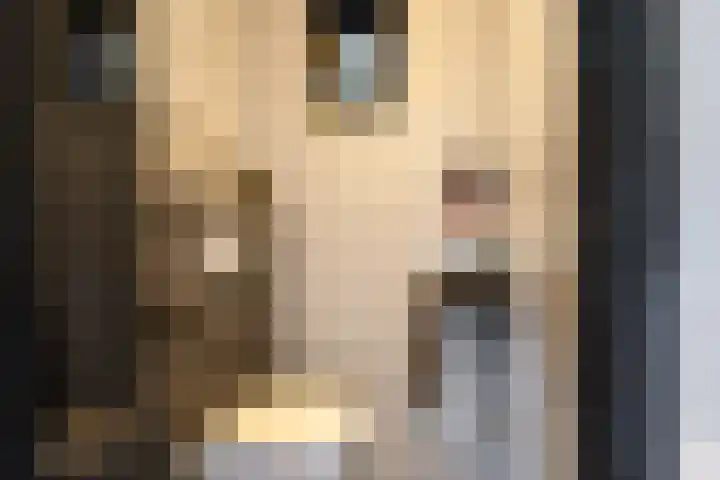 Vijverstraat 8 Nieuwendijk thumbnail 10