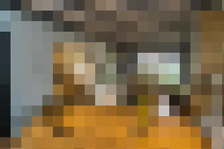 Vijverstraat 8 Nieuwendijk thumbnail 11