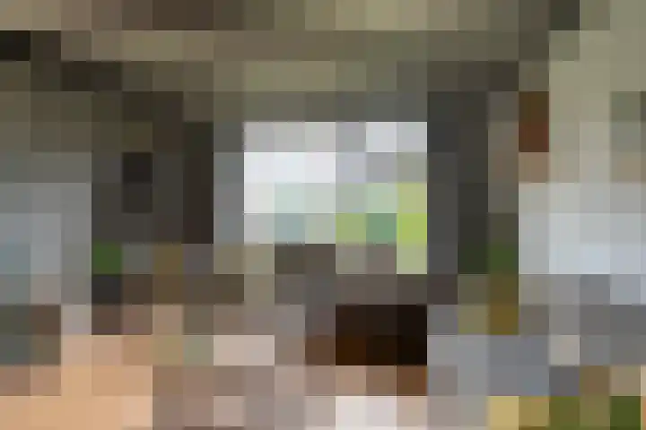 Vijverstraat 8 Nieuwendijk thumbnail 12