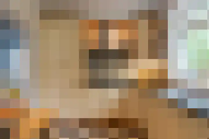 Vijverstraat 8 Nieuwendijk thumbnail 17