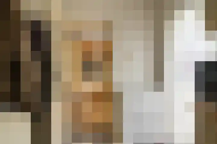Vijverstraat 8 Nieuwendijk thumbnail 20