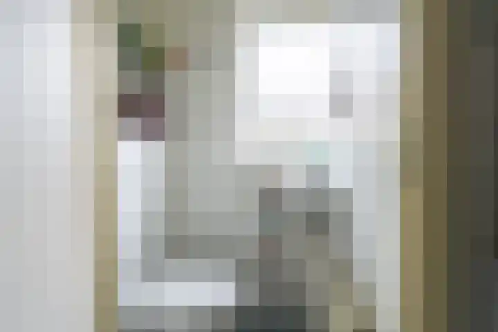 Vijverstraat 8 Nieuwendijk thumbnail 21