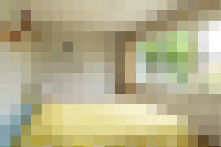 Vijverstraat 8 Nieuwendijk thumbnail 25