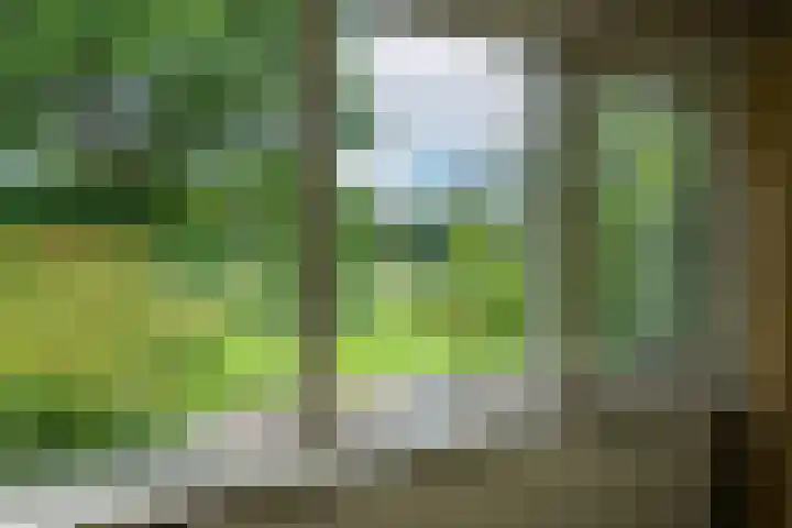 Vijverstraat 8 Nieuwendijk thumbnail 26