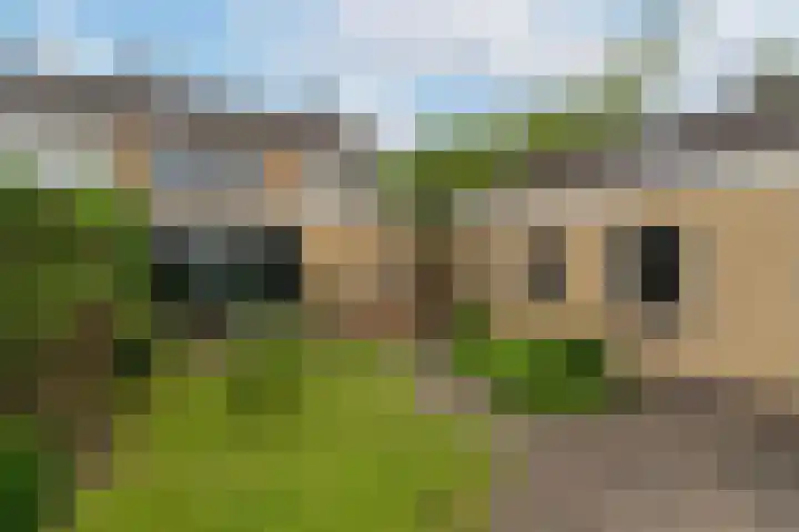 Vijverstraat 8 Nieuwendijk thumbnail 30