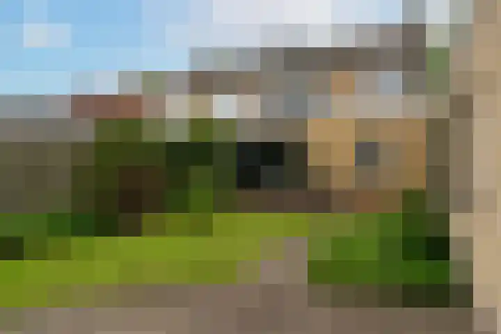 Vijverstraat 8 Nieuwendijk thumbnail 31