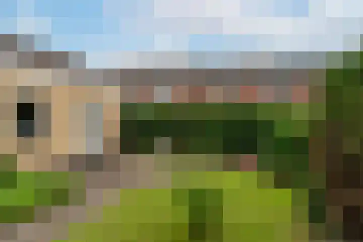 Vijverstraat 8 Nieuwendijk thumbnail 32