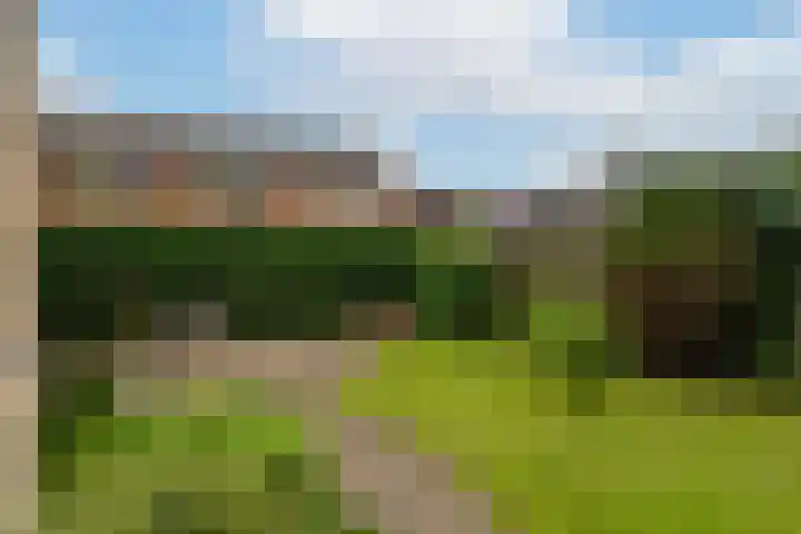 Vijverstraat 8 Nieuwendijk thumbnail 33