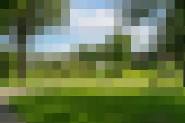 Vijverstraat 8 Nieuwendijk thumbnail 34