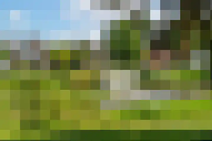Vijverstraat 8 Nieuwendijk thumbnail 35