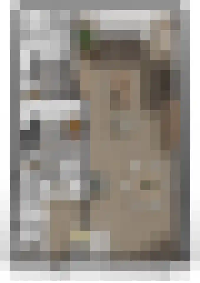 Vijverstraat 8 Nieuwendijk thumbnail 37