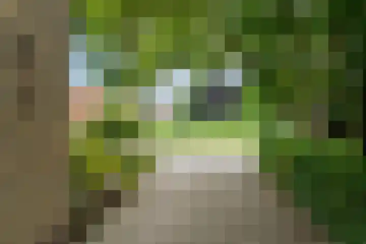 Vijverstraat 8 Nieuwendijk thumbnail 4