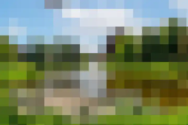 Vijverstraat 8 Nieuwendijk thumbnail 5