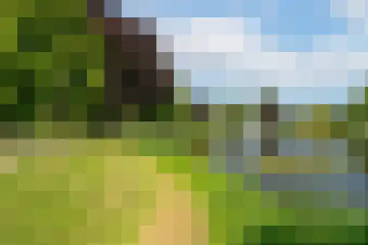 Vijverstraat 8 Nieuwendijk thumbnail 7