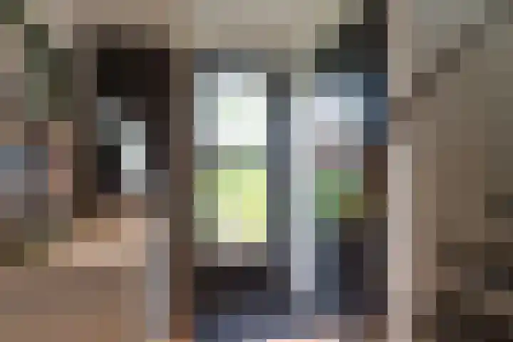 Vijverstraat 8 Nieuwendijk thumbnail 8