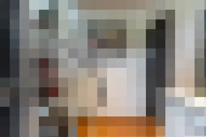 Vijverstraat 8 Nieuwendijk thumbnail 9