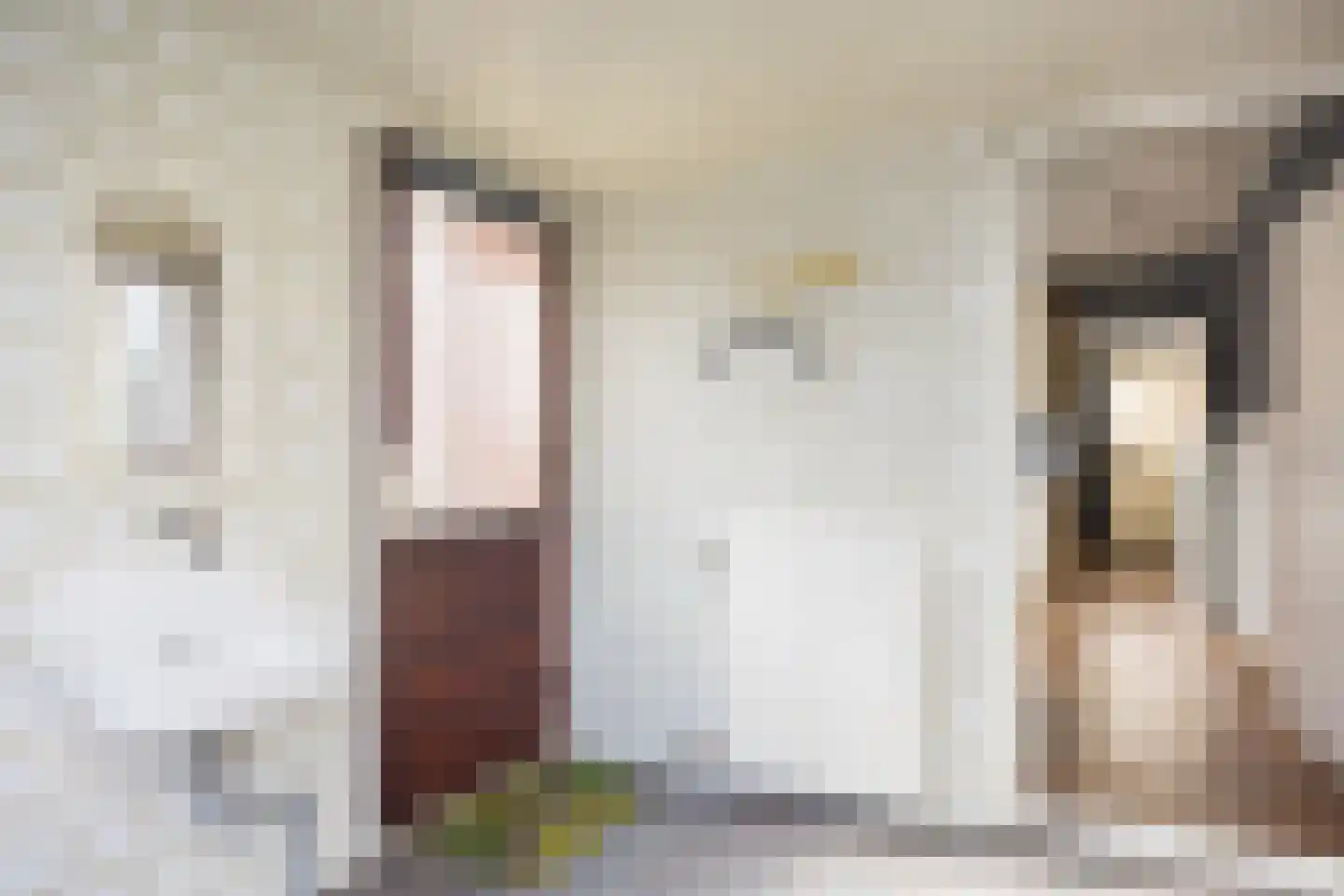 Vijverstraat 8 Ootmarsum thumbnail 14