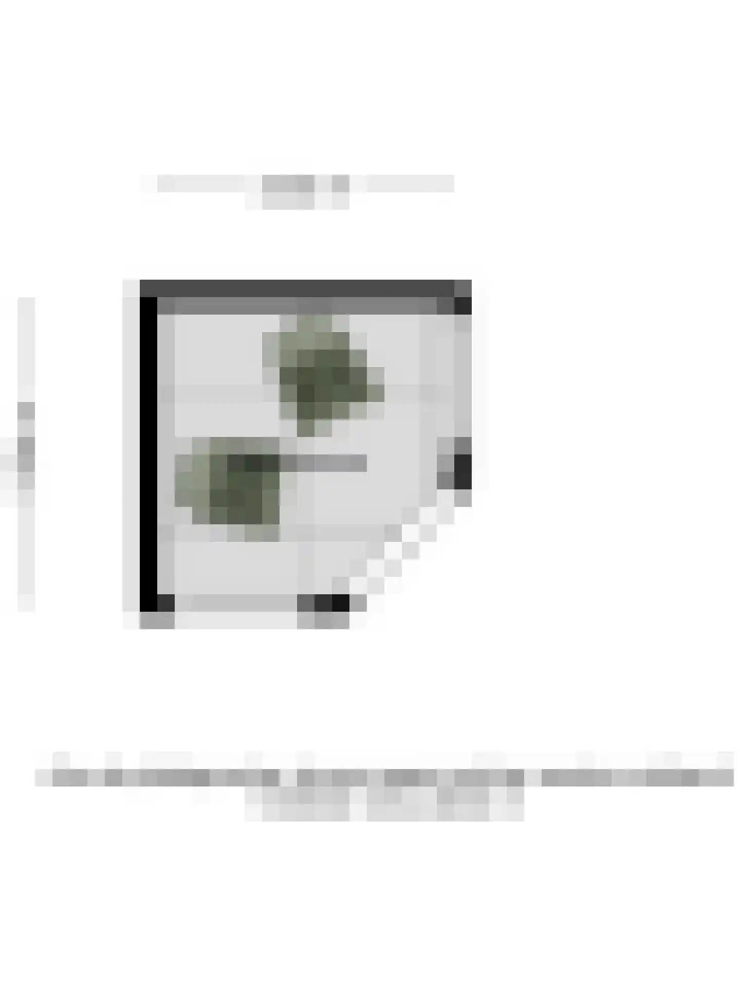 Vijverstraat 8 Ootmarsum thumbnail 32