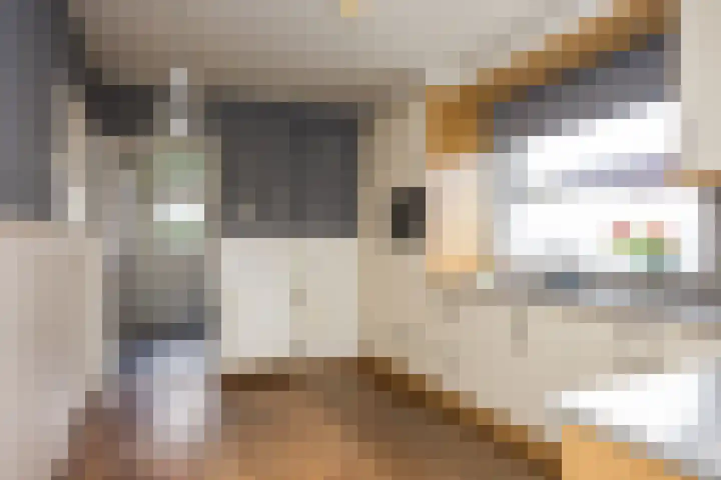 Vijverstraat 8 Ootmarsum thumbnail 6