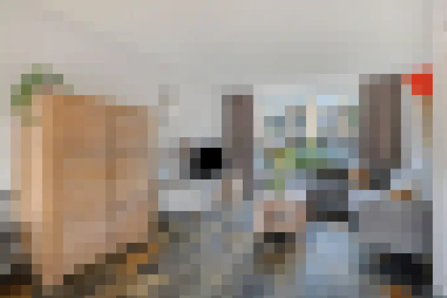 Vijverstraat 8 Prinsenbeek thumbnail 16