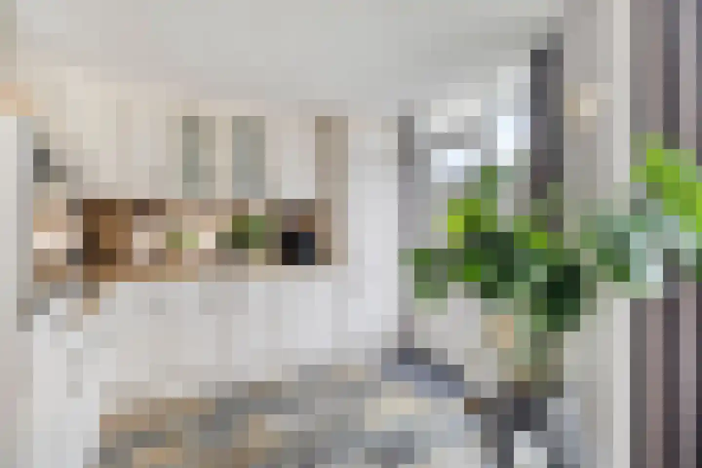 Vijverstraat 8 Prinsenbeek thumbnail 19