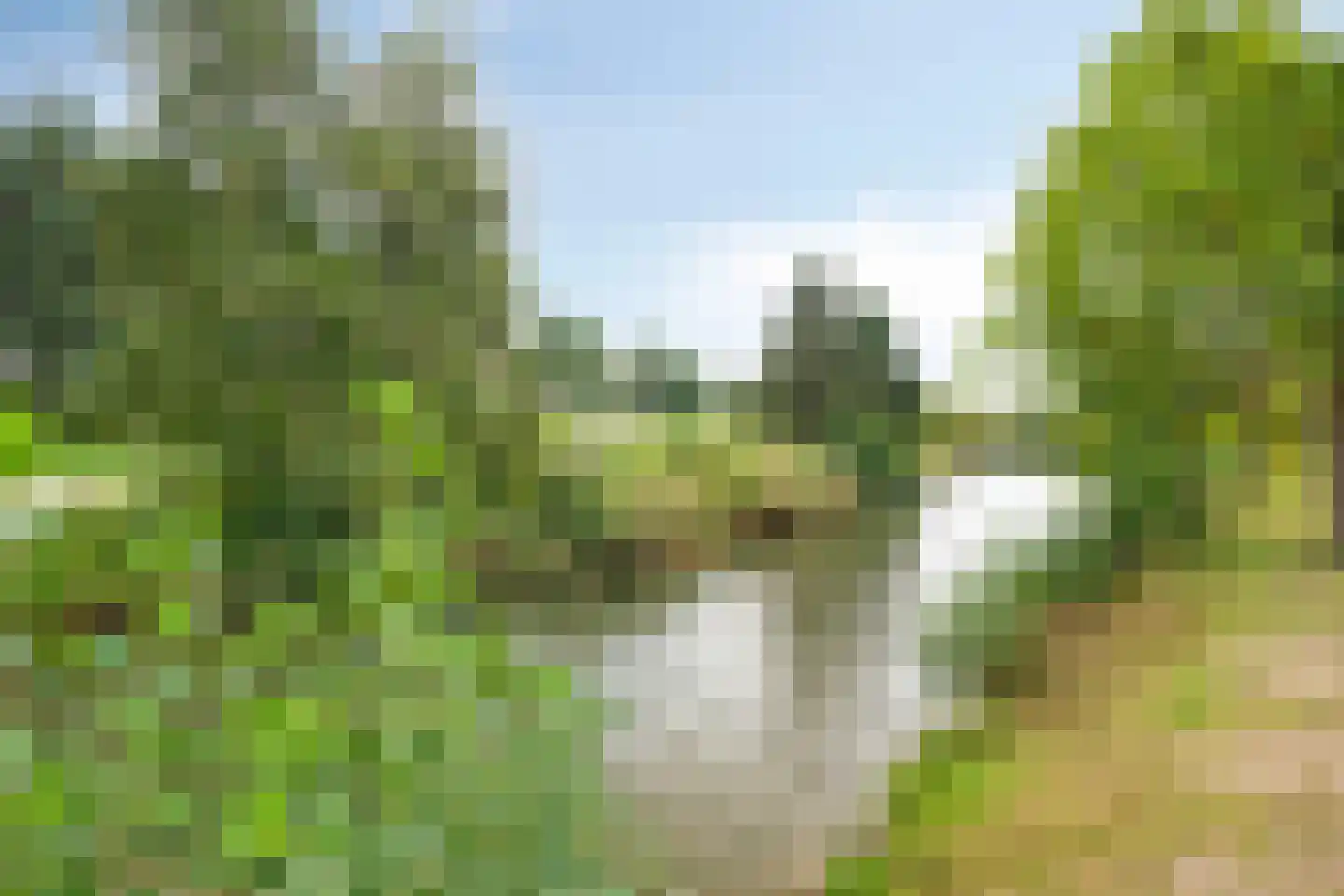 Vijverstraat 8 Prinsenbeek thumbnail 41