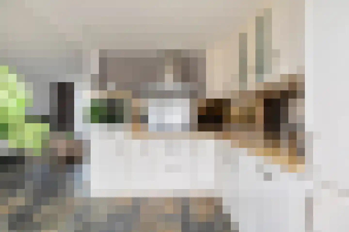 Vijverstraat 8 Prinsenbeek thumbnail 7