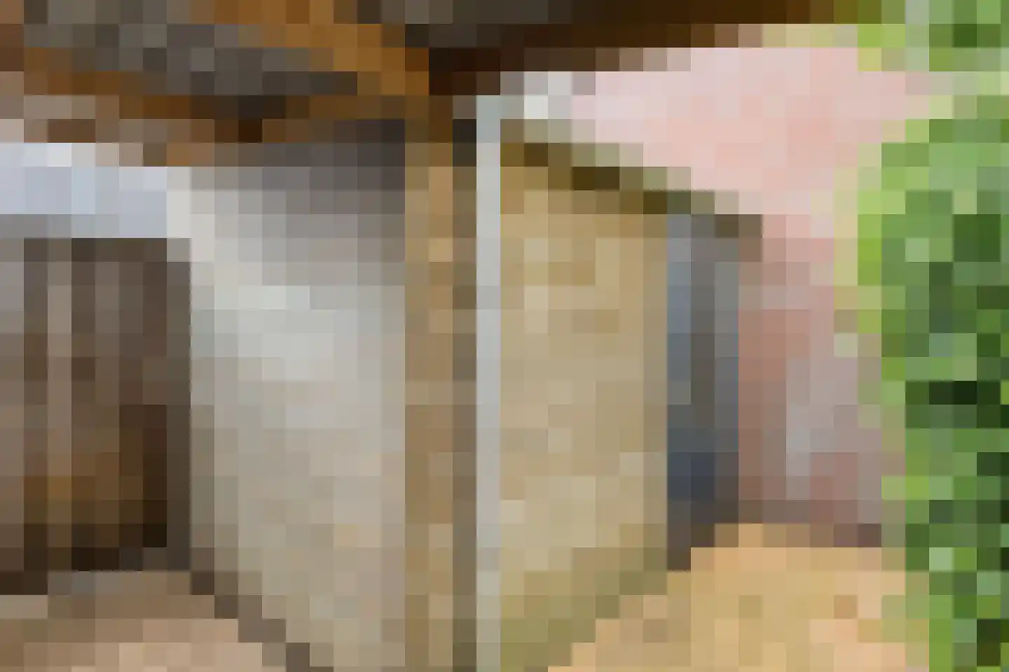 Vijverveld 26 Reusel thumbnail 20