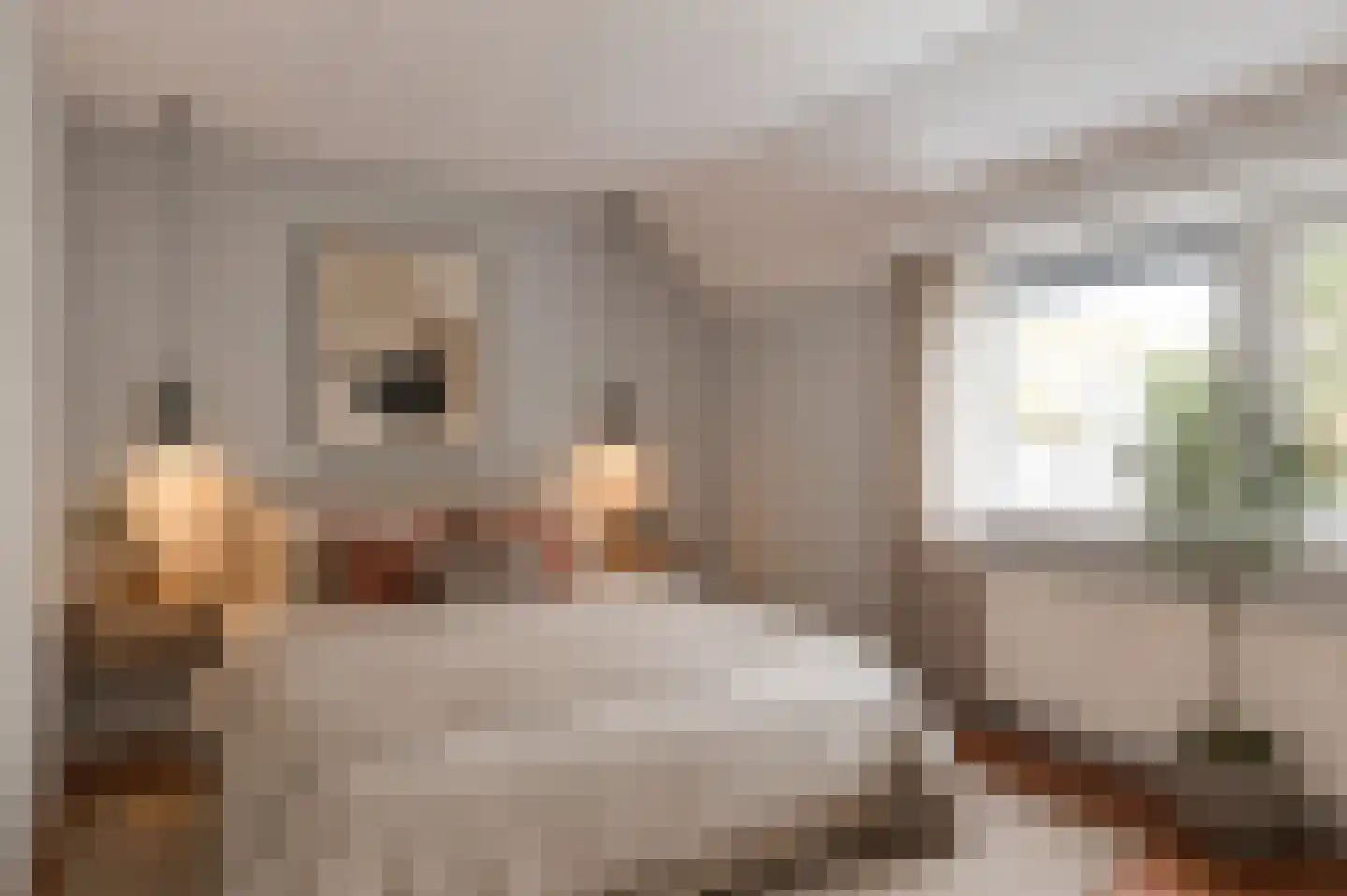 Vijverveld 26 Reusel thumbnail 22