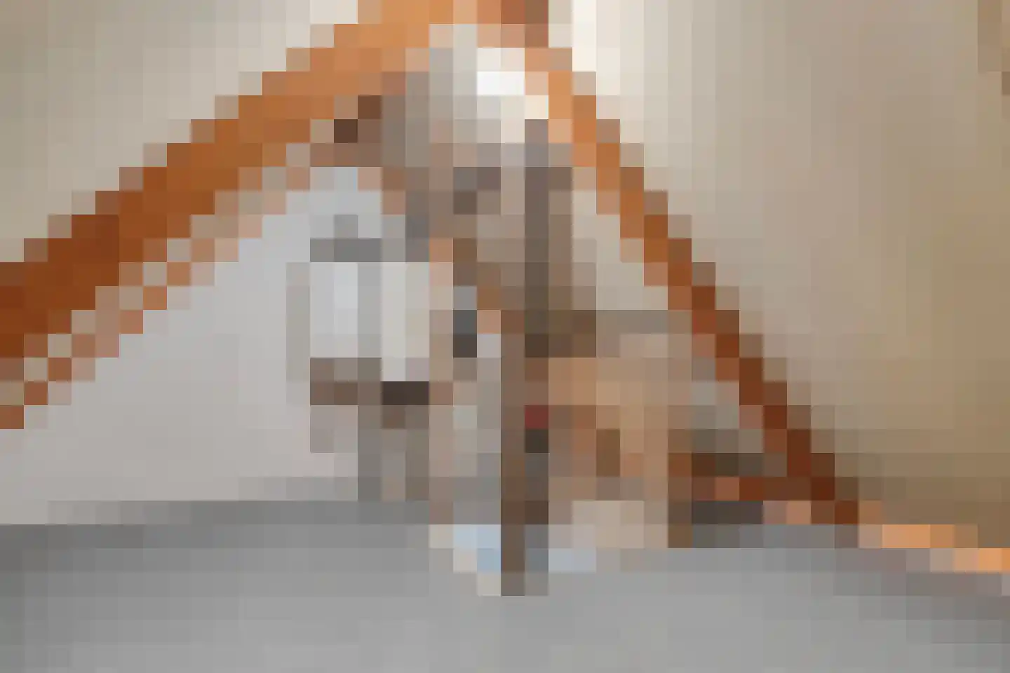 Vijverveld 26 Reusel thumbnail 31
