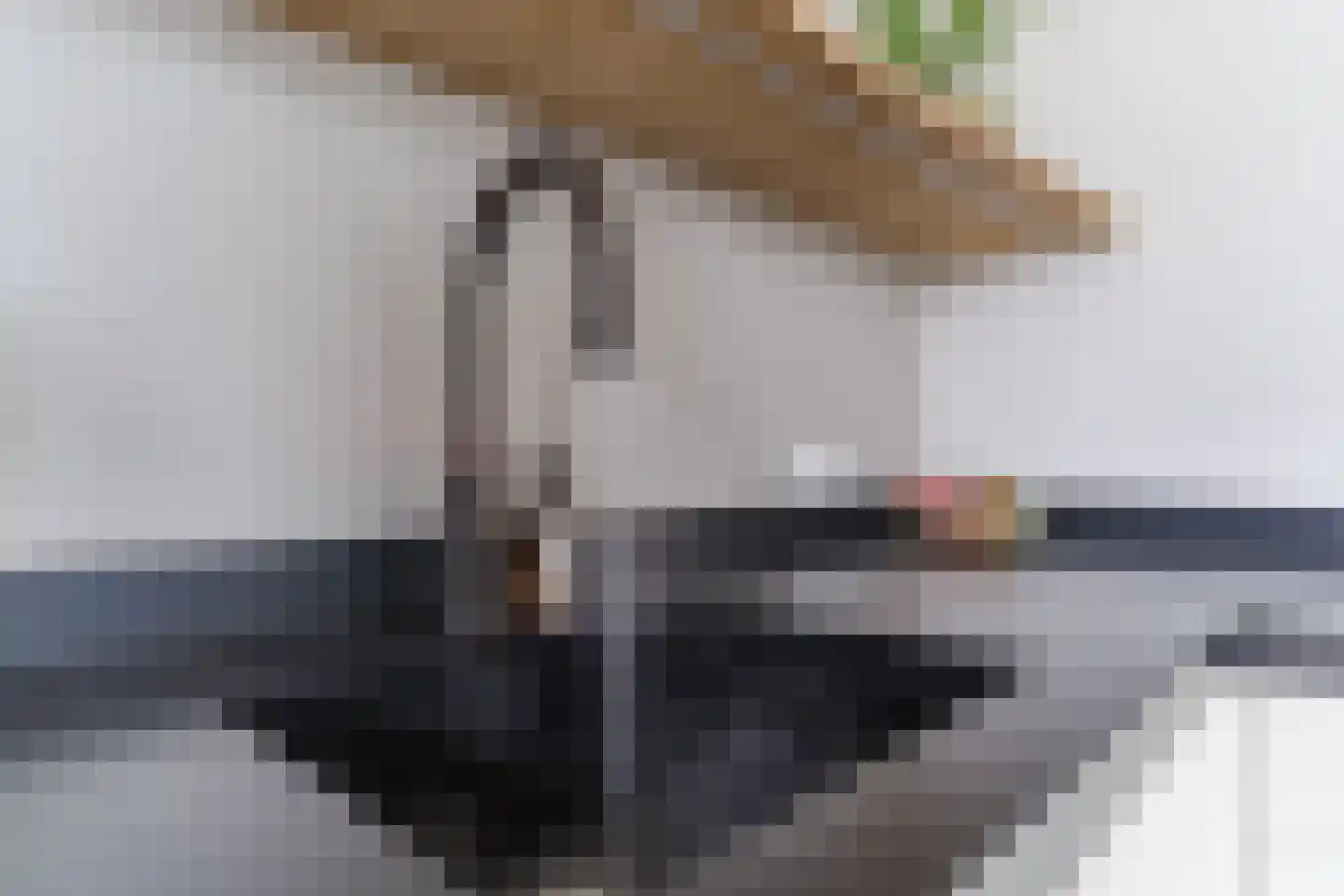 Vijverveld 6 Reusel thumbnail 22