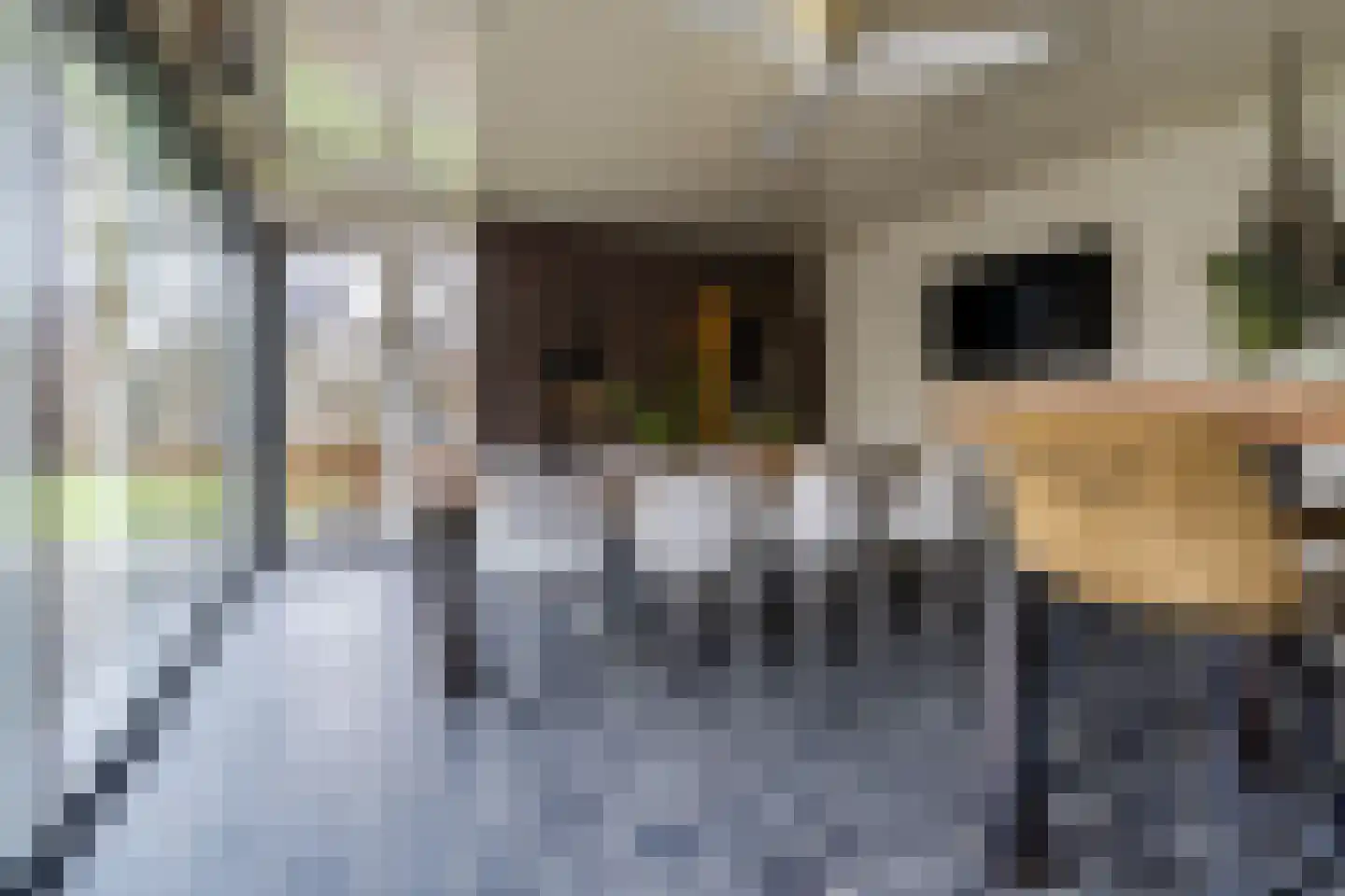 Vijverveld 6 Reusel thumbnail 48