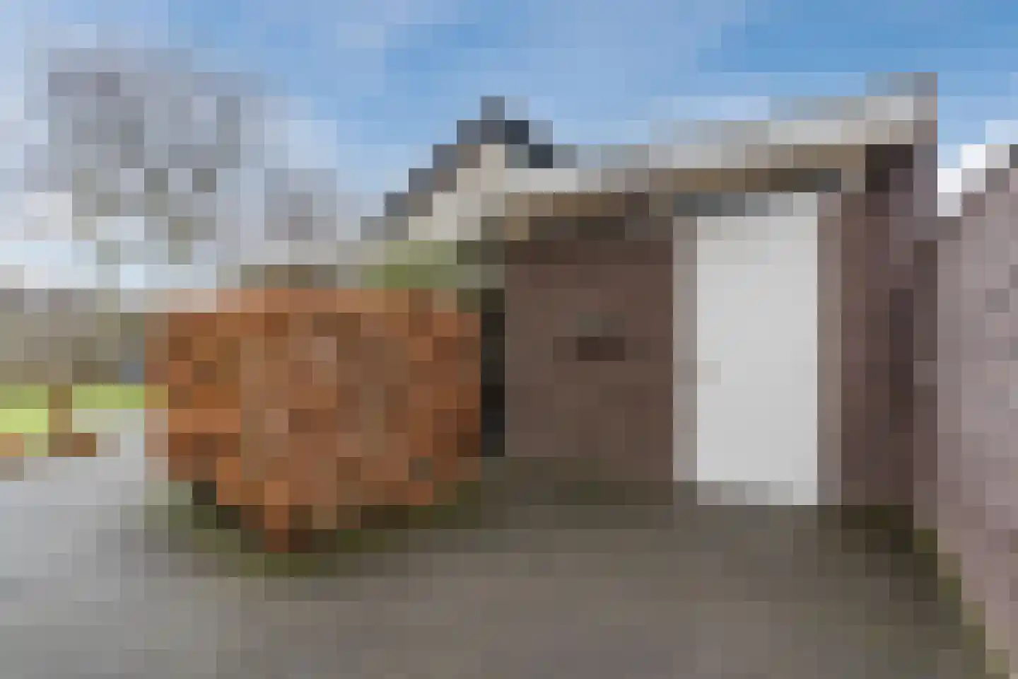 Vijverveld 6 Reusel thumbnail 49