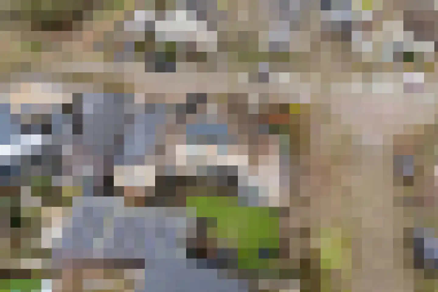Vijverveld 6 Reusel thumbnail 51