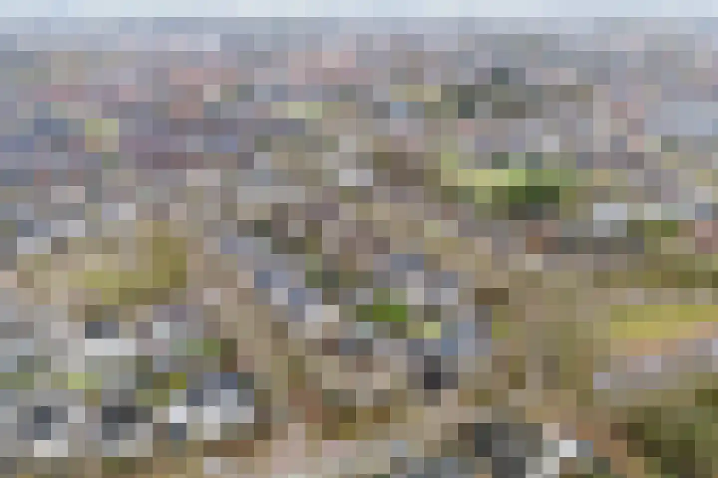 Vijverveld 6 Reusel thumbnail 52