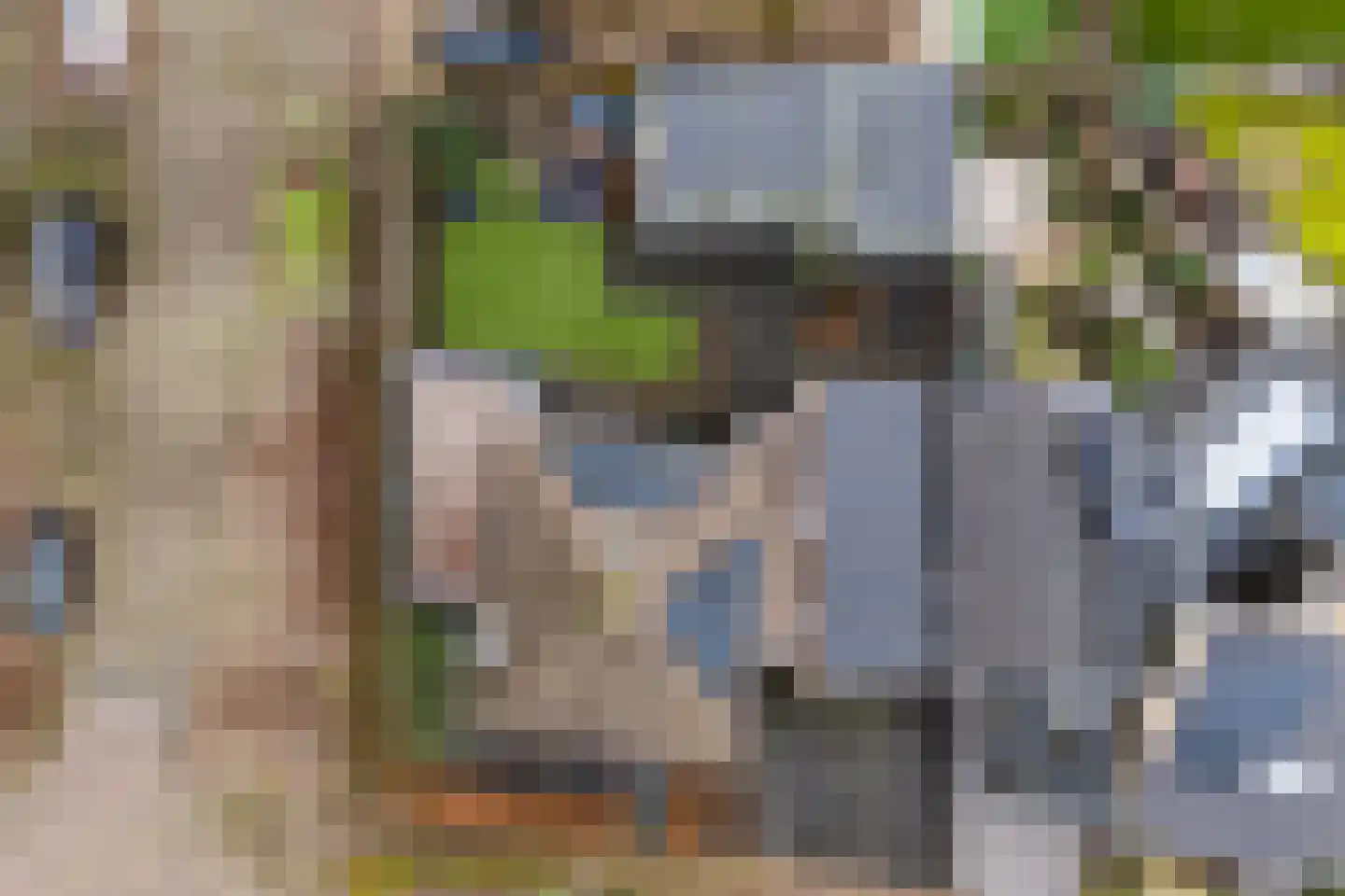 Vijverveld 6 Reusel thumbnail 53