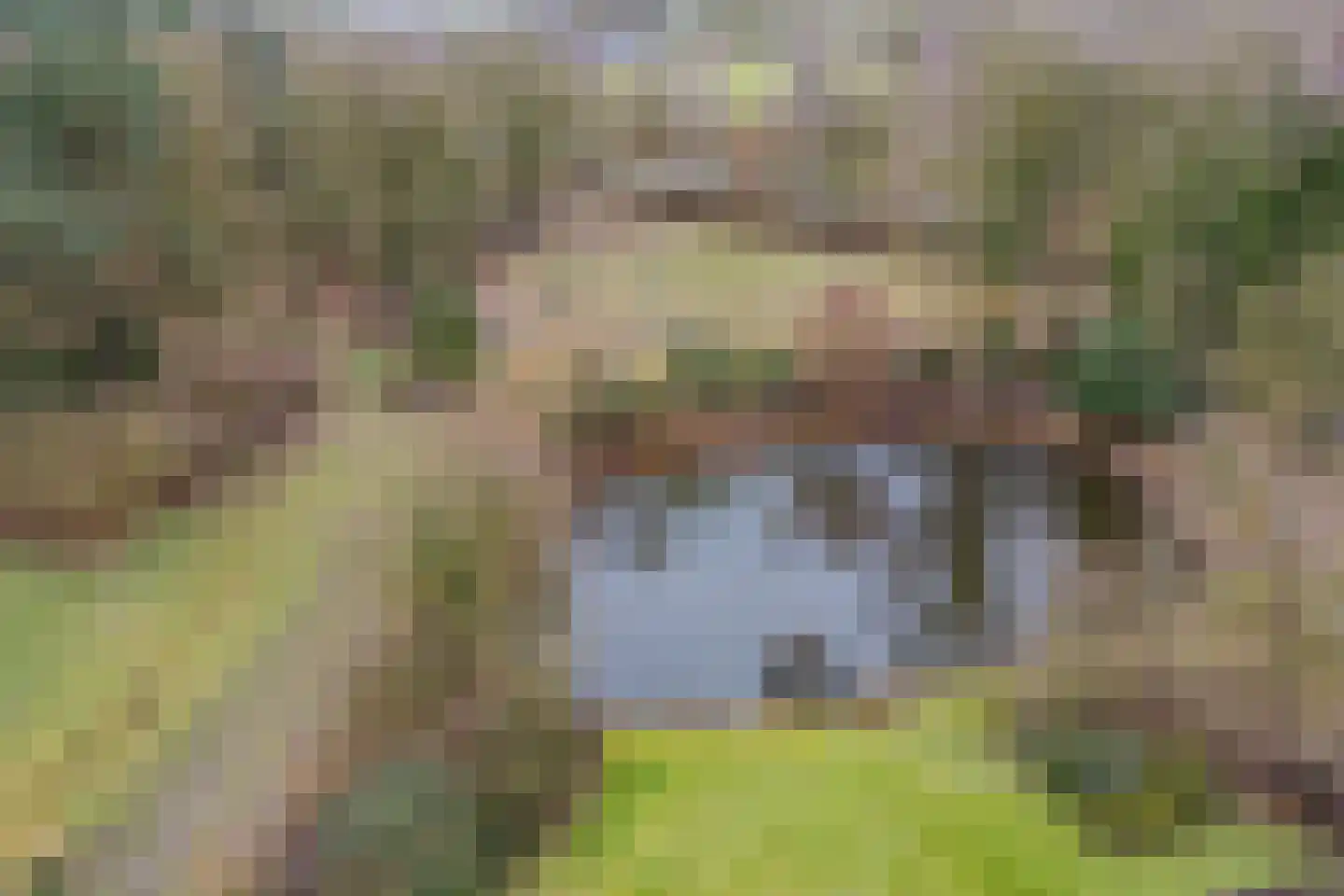 Vijverveld 6 Reusel thumbnail 55