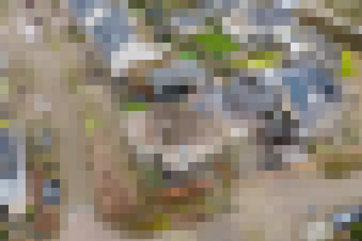 Vijverveld 6 Reusel thumbnail 6