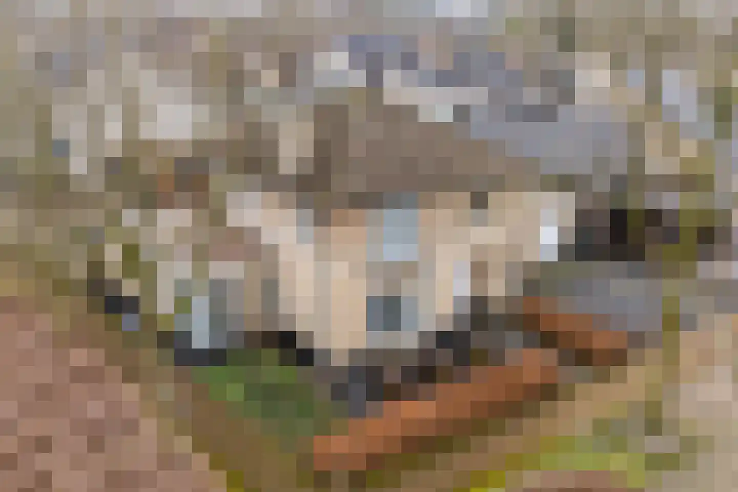 Vijverveld 6 Reusel thumbnail 7