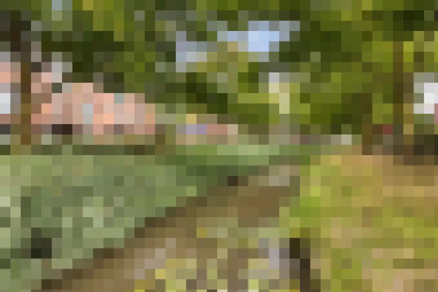 Vijverwater 7 Houten thumbnail 10