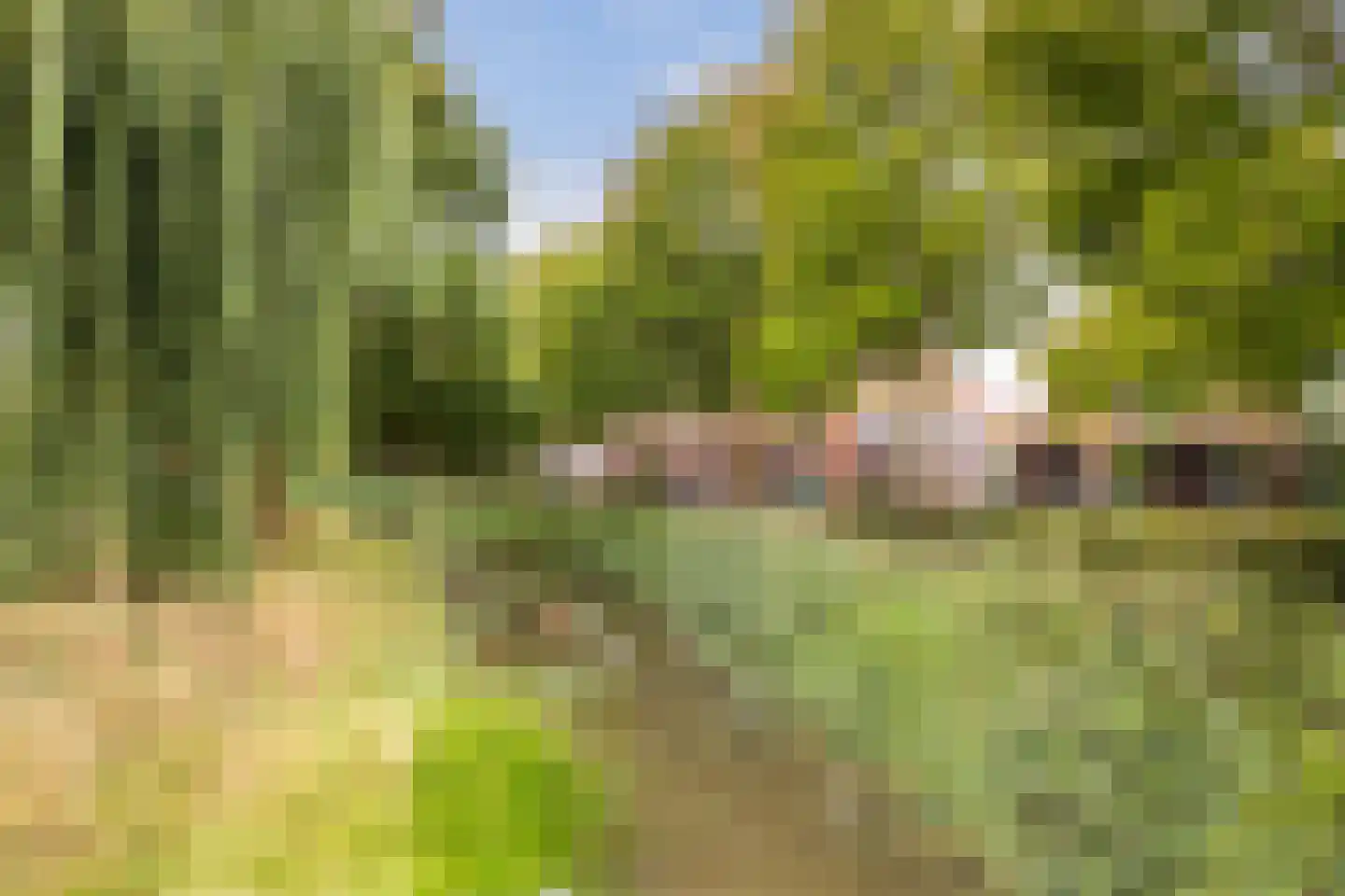 Vijverwater 7 Houten thumbnail 11