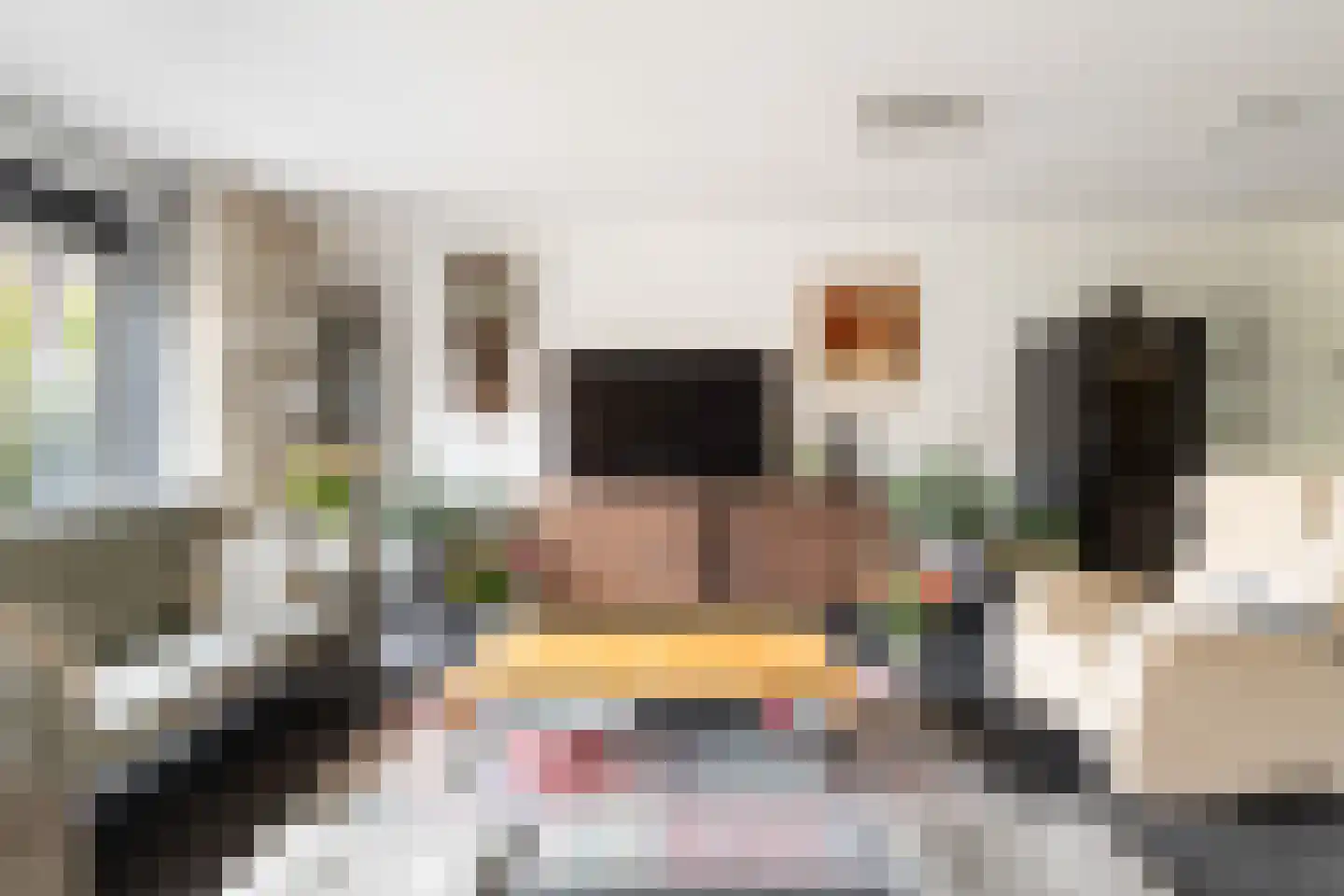 Vijverwater 7 Houten thumbnail 21