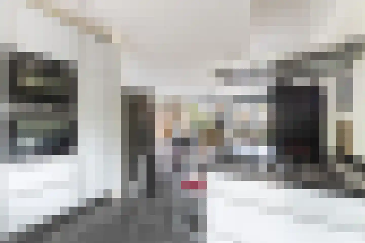 Vijverwater 7 Houten thumbnail 31