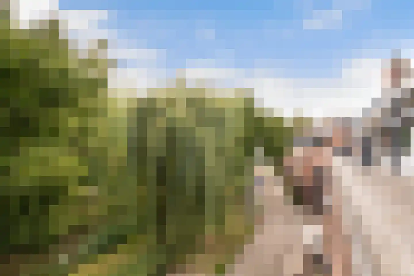 Vijverwater 7 Houten thumbnail 67