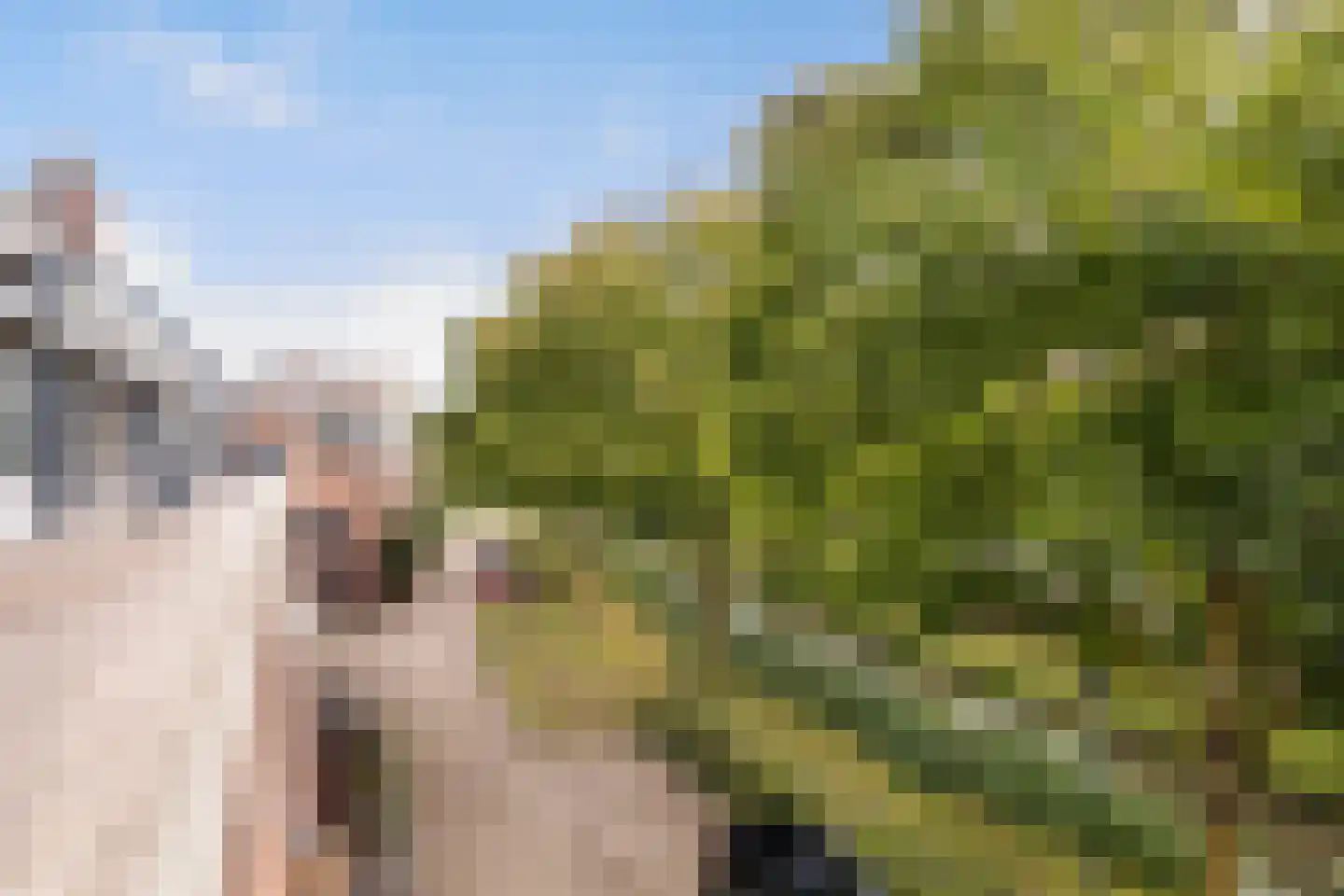 Vijverwater 7 Houten thumbnail 68